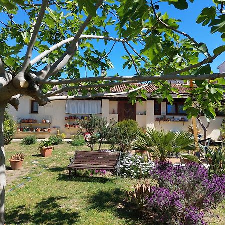 Garden Rooms Olbia Exteriör bild